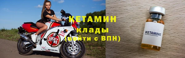 шишки Белокуриха