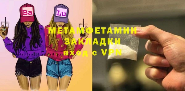 шишки Белокуриха