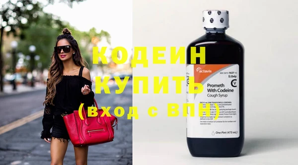 шишки Белокуриха
