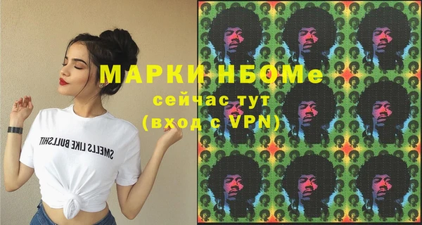 шишки Белокуриха