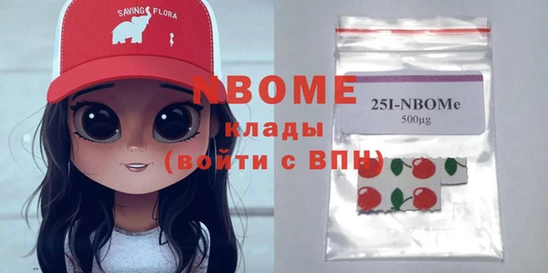 шишки Белокуриха