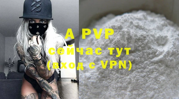 шишки Белокуриха