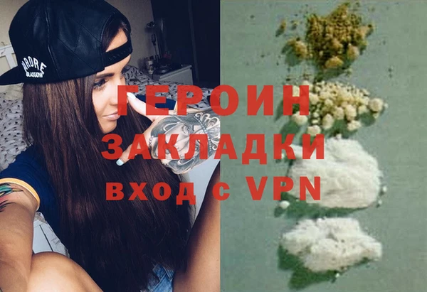 шишки Белокуриха