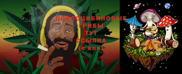 мескалин Богородицк